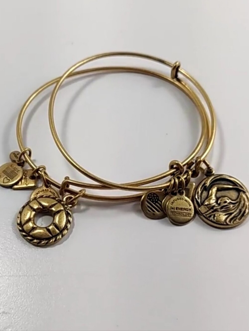 Alex and Ani Rafaelian Gold Team USA Swimming & Lifeguard Charm Bangle Bracelets